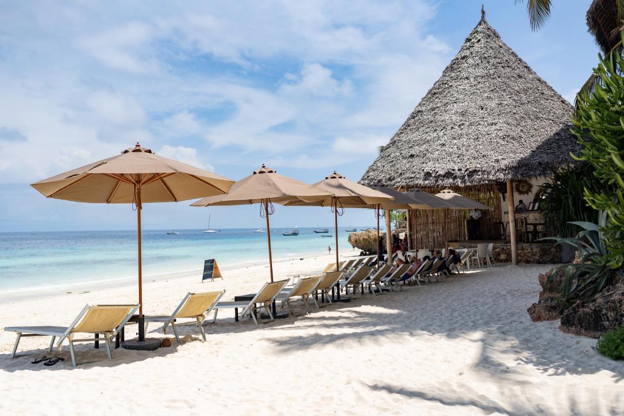 Thatched parasol and palm on the white sand beach at My Blue Hotel